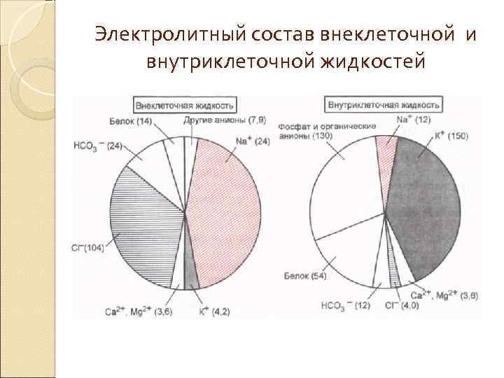 Электролитный состав внеклеточной и внутриклеточной жидкостей 