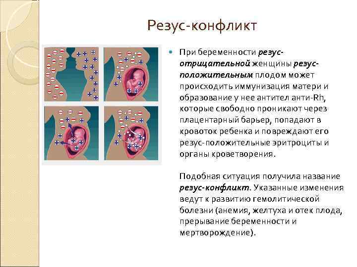 Кровь сок совсем особенного свойства Гете Фауст