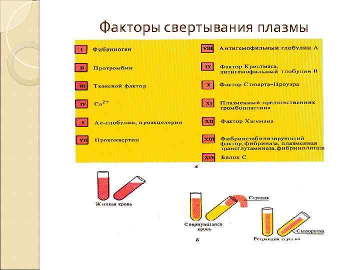 Факторы свертывания плазмы 