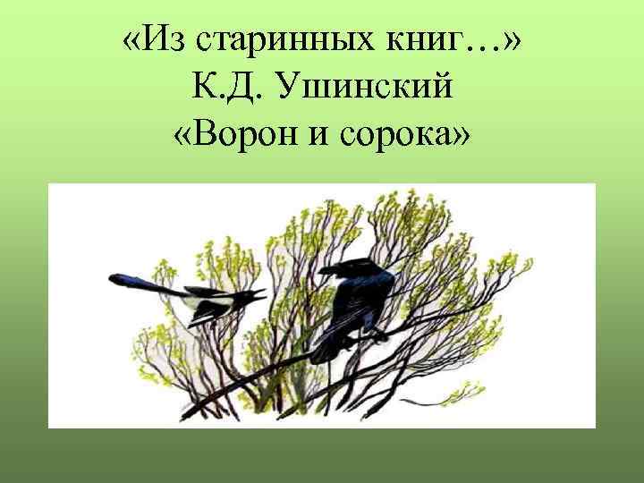  «Из старинных книг…» К. Д. Ушинский «Ворон и сорока» 