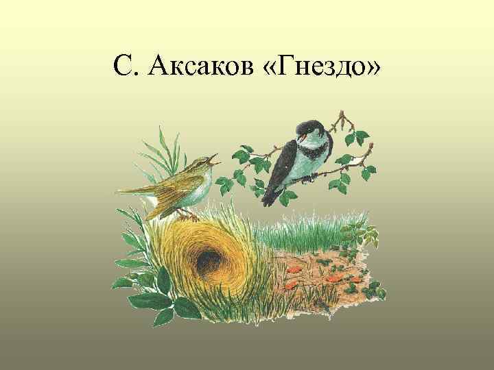 С. Аксаков «Гнездо» 