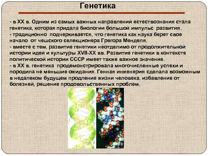 Генетика - в XX в. Одним из самых важных направлений естествознания стала генетика, которая