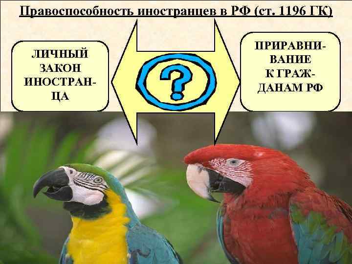 Правоспособность иностранцев в РФ (ст. 1196 ГК) ЛИЧНЫЙ ЗАКОН ИНОСТРАНЦА ПРИРАВНИВАНИЕ К ГРАЖДАНАМ РФ