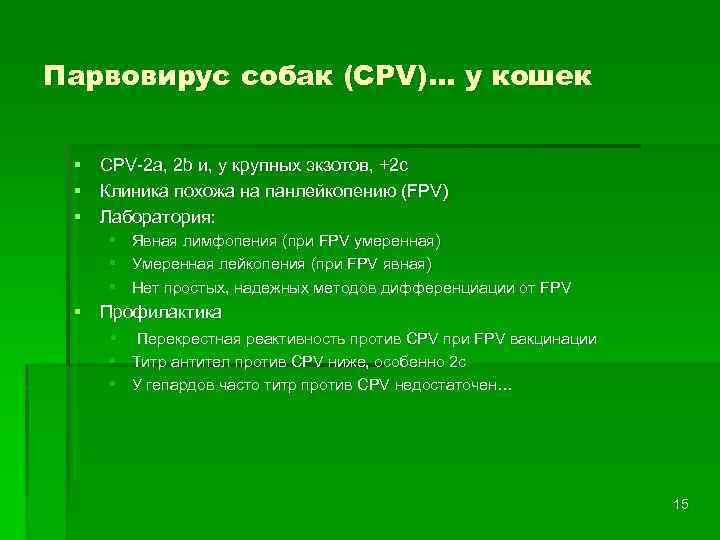 Парвовирус собак (CPV)… у кошек § CPV-2 а, 2 b и, у крупных экзотов,