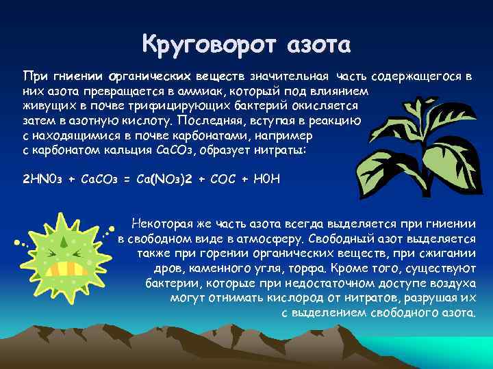 Круговорот азота При гниении органических веществ значительная часть содержащегося в них азота превращается в