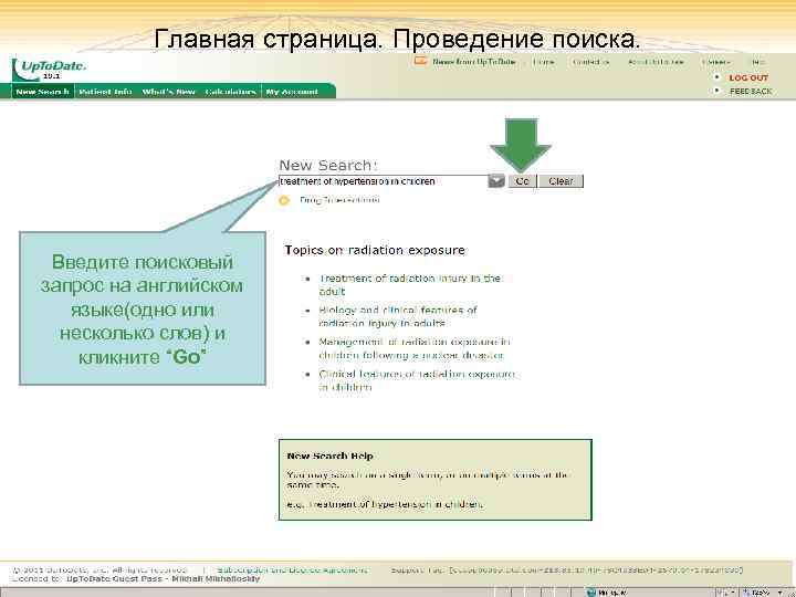 Главная страница. Проведение поиска. Введите поисковый запрос на английском языке(одно или несколько слов) и