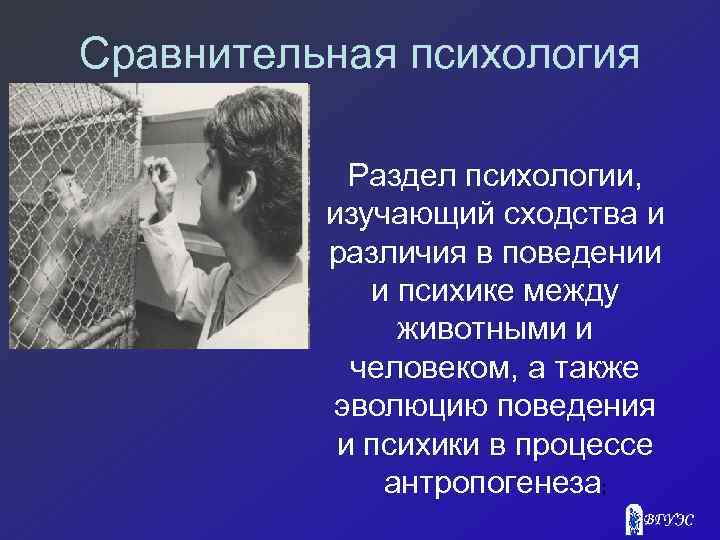 Сравнительная психология