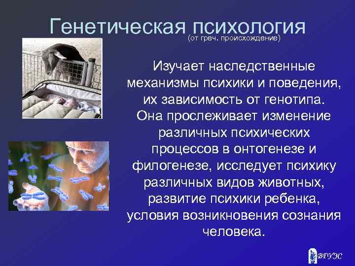Генетическая психология (от греч. происхождение) Изучает наследственные механизмы психики и поведения, их зависимость от