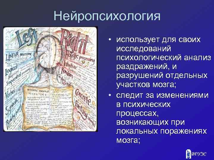 Нейропсихология • использует для своих исследований психологический анализ раздражений, и разрушений отдельных участков мозга;