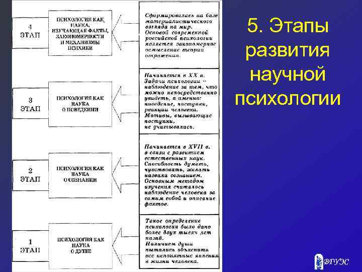 5. Этапы развития научной психологии 