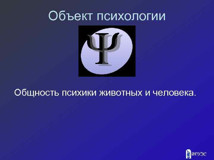 Объект психологии Общность психики животных и человека. 