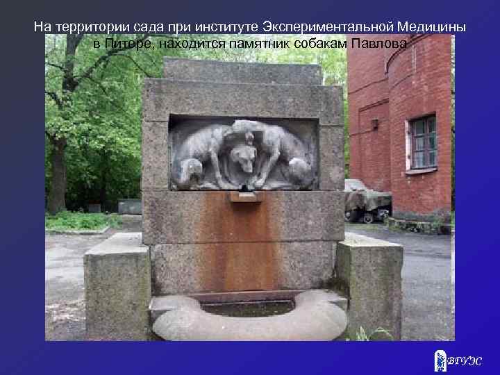 На территории сада при институте Экспериментальной Медицины в Питере, находится памятник собакам Павлова 