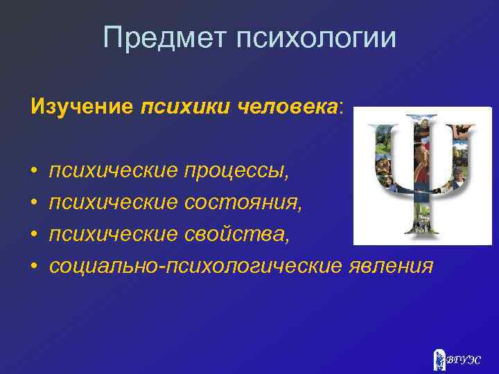 Предмет психологии Изучение психики человека: • • психические процессы, психические состояния, психические свойства, социально-психологические