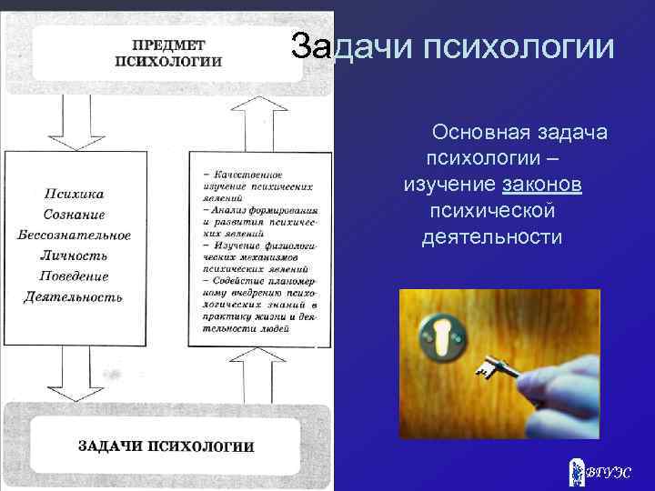 Задачи психологии Основная задача психологии – изучение законов психической деятельности 