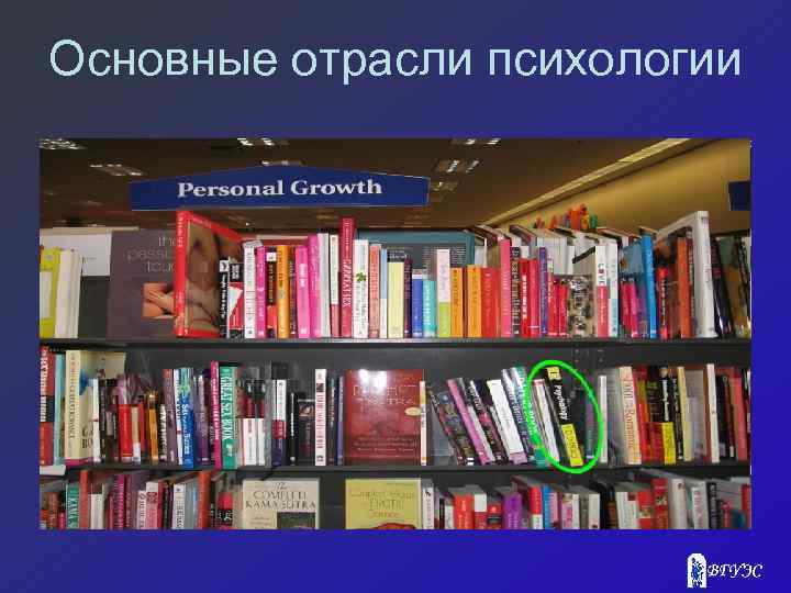 Основные отрасли психологии 