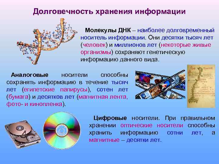 Долговечность хранения информации Молекулы ДНК – наиболее долговременный носитель информации. Они десятки тысяч лет