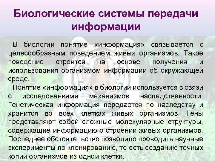 Биологические процессы. Источники биологической информации. Передача информации в биологических системах. Примеры передачи информации в биологических системах. Системы передачи информации технические социальные биологические.