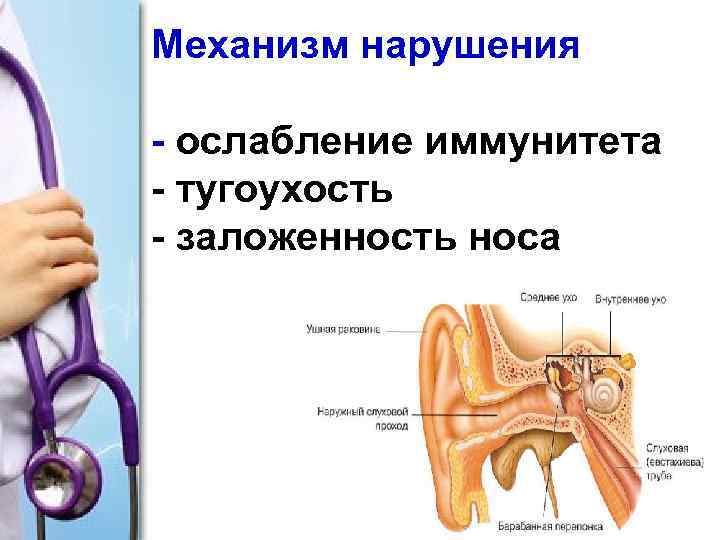 Механизм нарушения - ослабление иммунитета - тугоухость - заложенность носа 