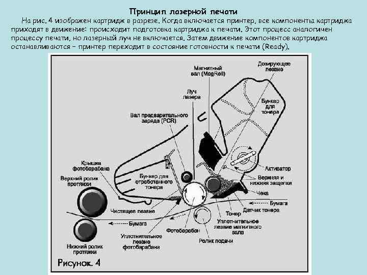  Принцип лазерной печати На рис. 4 изображен картридж в разрезе. Когда включается принтер,