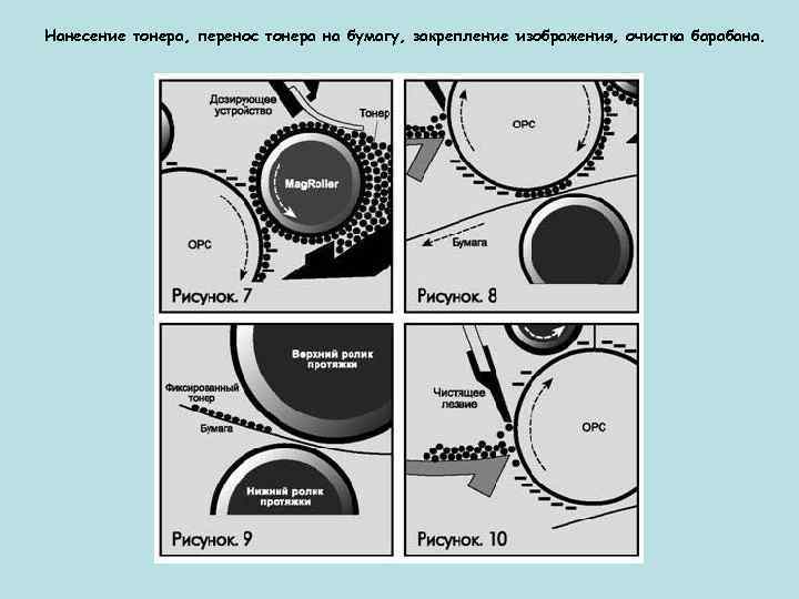 Нанесение тонера, перенос тонера на бумагу, закрепление изображения, очистка барабана. 