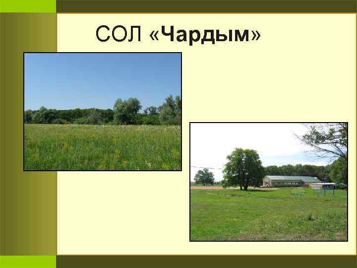 СОЛ «Чардым» 