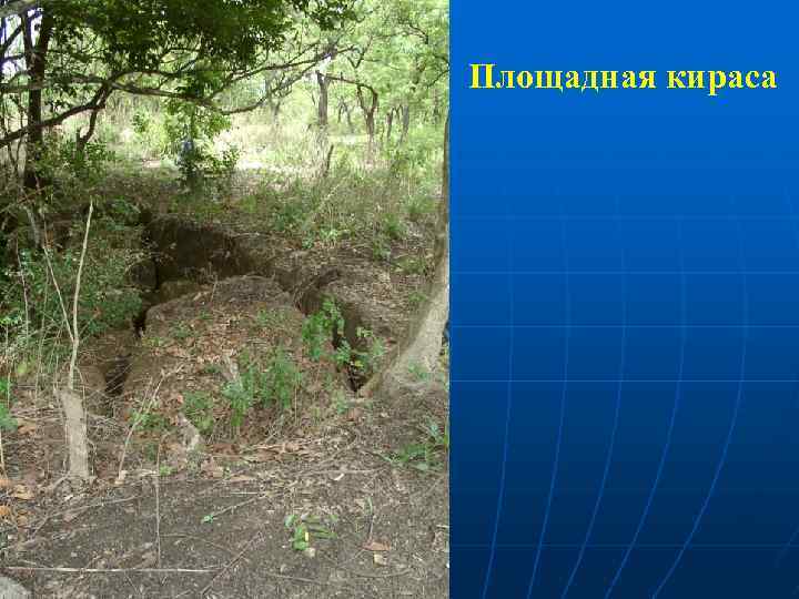 Площадная кираса 