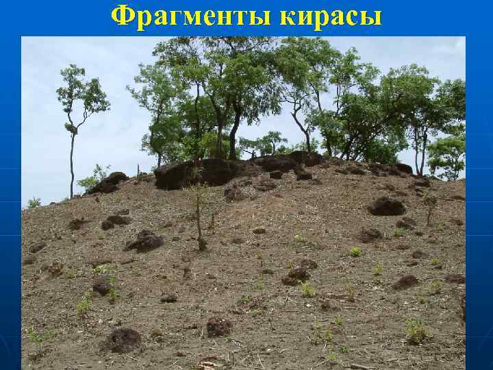 Фрагменты кирасы 