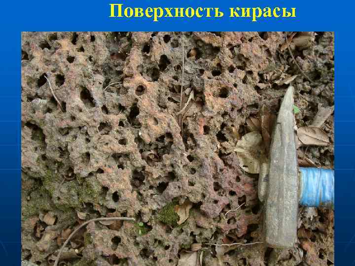 Поверхность кирасы 