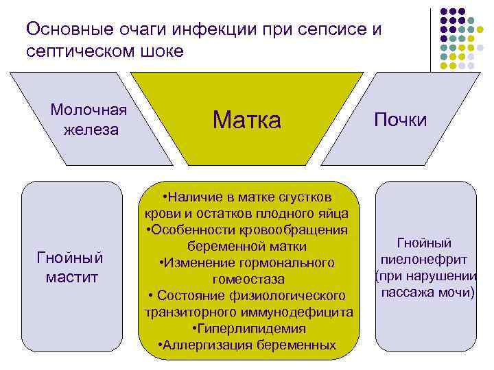 Основные очаги инфекции при сепсисе и септическом шоке Молочная железа Гнойный мастит Матка •