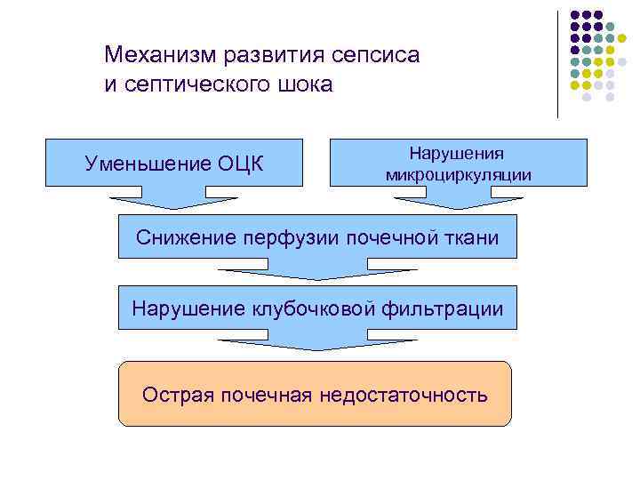 Механизм развития сепсиса и септического шока Уменьшение ОЦК Нарушения микроциркуляции Снижение перфузии почечной ткани