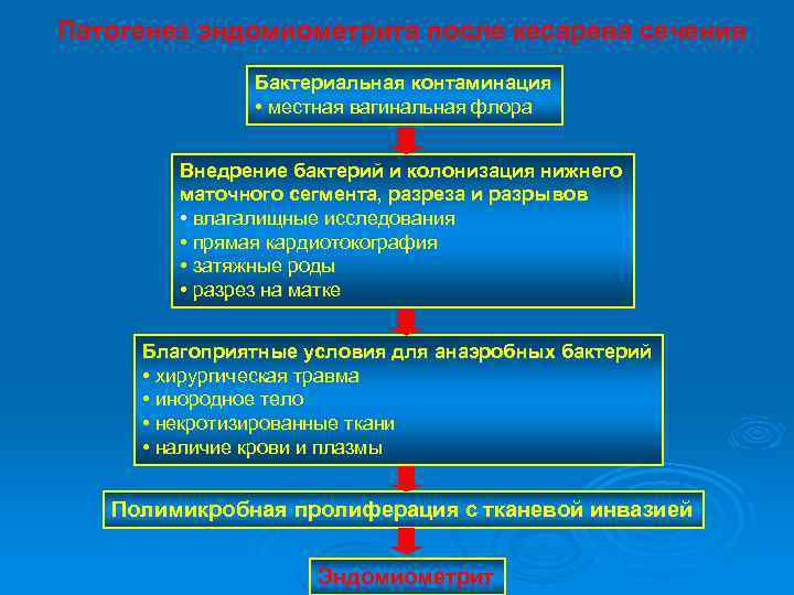 Патогенез эндомиометрита после кесарева сечения Бактериальная контаминация • местная вагинальная флора Внедрение бактерий и