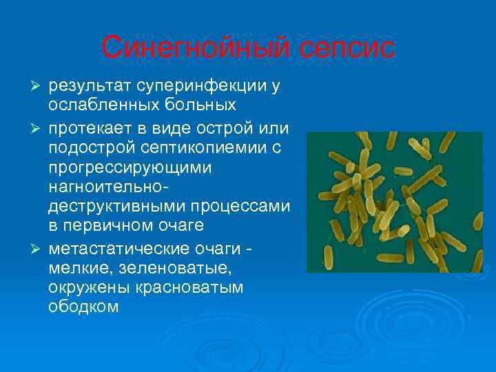  Синегнойный сепсис Ø результат суперинфекции у ослабленных больных Ø протекает в виде острой