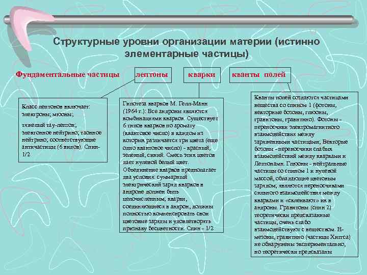 Структурные уровни организации материи (истинно элементарные частицы) Фундаментальные частицы Класс лептонов включает: электроны; мюоны;