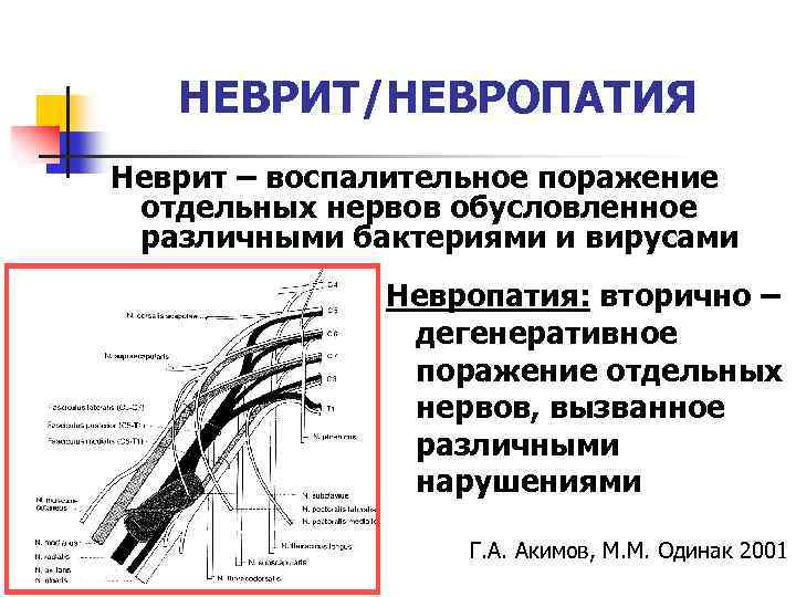 Нейропатии нервов руки. Невропатия периферических нервов. Симптомы поражения отдельных периферических нервов. Неврит периферических нервов конечностей.