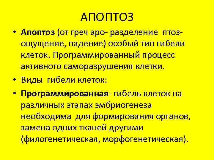 АПОПТОЗ • Апоптоз (от греч аро- разделение птозощущение, падение) особый тип гибели клеток. Программированный