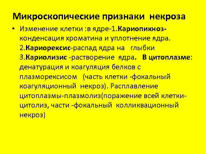 Микроскопические признаки некроза • Изменение клетки : в ядре-1. Кариопикнозконденсация хроматина и уплотнение ядра.