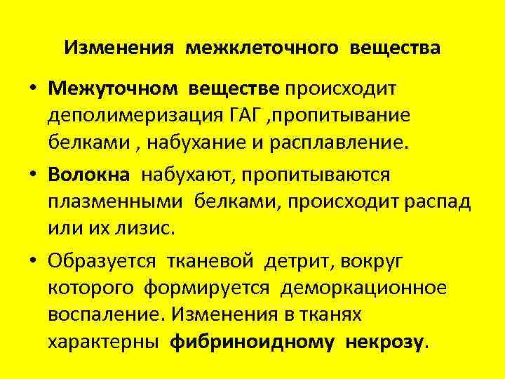 Изменения межклеточного вещества • Межуточном веществе происходит деполимеризация ГАГ , пропитывание белками , набухание