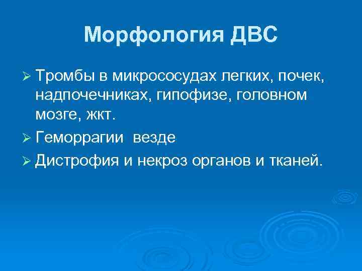 Морфология ДВС Ø Тромбы в микрососудах легких, почек, надпочечниках, гипофизе, головном мозге, жкт. Ø