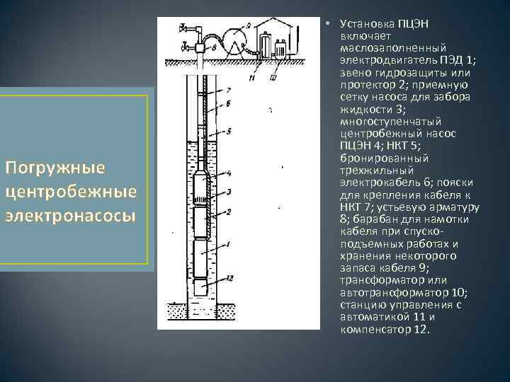Погружные центробежные электронасосы • Установка ПЦЭН включает маслозаполненный электродвигатель ПЭД 1; звено гидрозащиты или