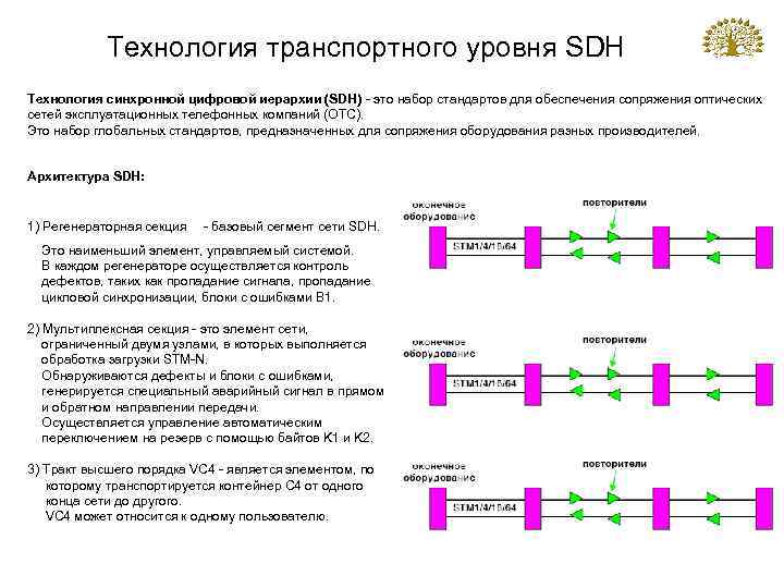 Технология транспортного уровня SDH Технология синхронной цифровой иерархии (SDH) - это набор стандартов для