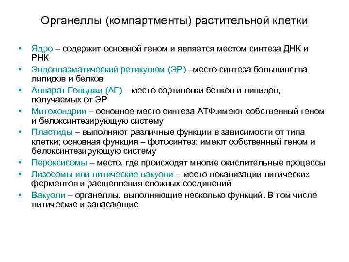 Органеллы (компартменты) растительной клетки • • Ядро – содержит основной геном и является местом
