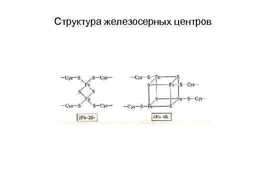 Структура железосерных центров 