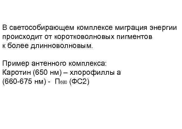 В светособирающем комплексе миграция энергии происходит от коротковолновых пигментов к более длинноволновым. Пример антенного