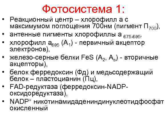 Фотосистема 1: • Реакционный центр – хлорофилл а с максимумом поглощения 700 нм (пигмент