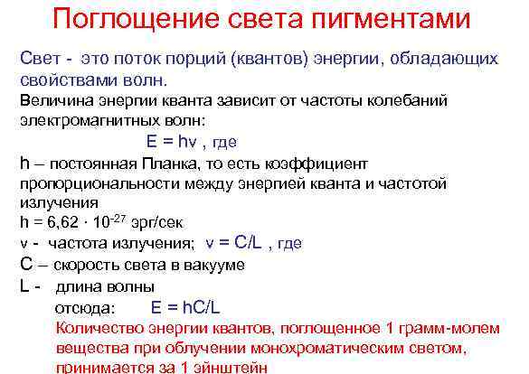 Поглощение света пигментами Свет - это поток порций (квантов) энергии, обладающих свойствами волн. Величина