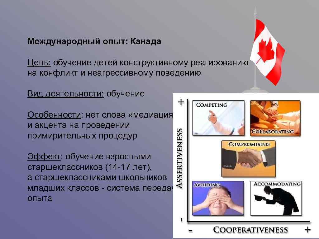 Международный опыт: Канада Цель: обучение детей конструктивному реагированию на конфликт и неагрессивному поведению Вид