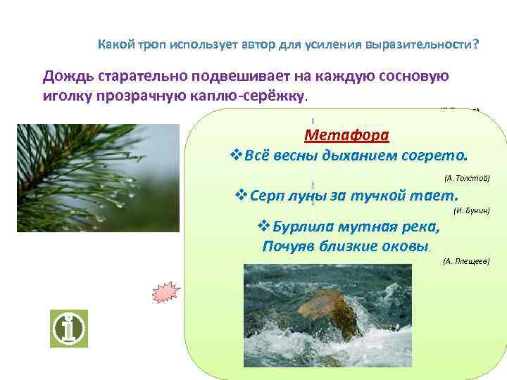 Какой троп использует автор для усиления выразительности? Дождь старательно подвешивает на каждую сосновую иголку