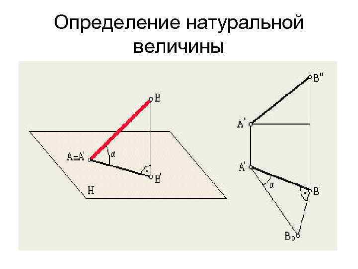 Определение натуральной величины 