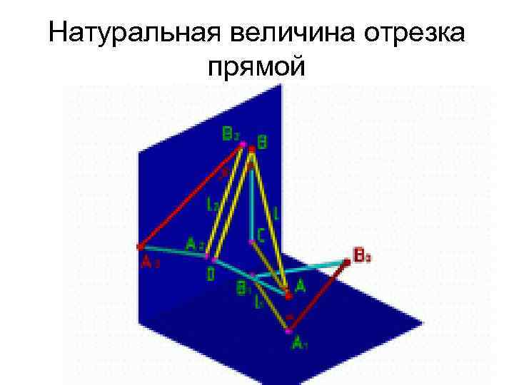 Натуральная величина отрезка прямой 