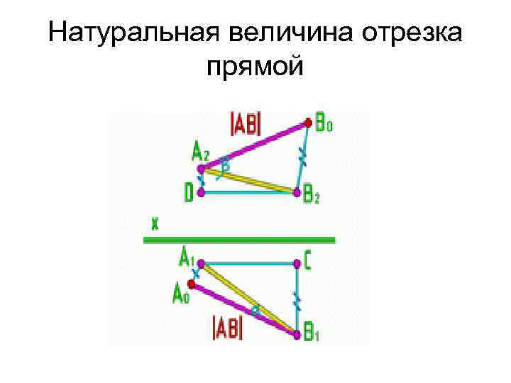 Натуральная величина отрезка прямой 